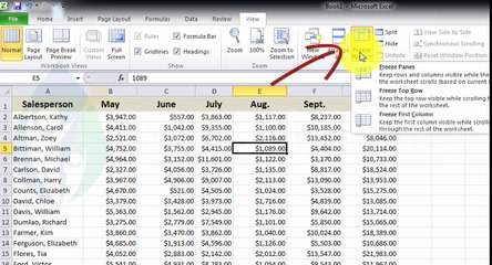 3.2 Freezing Panes (MSEX)