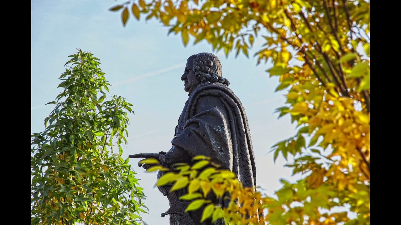 La construction du 14e Jardin éphémère sur la place Stanislas à Nancy. "Place à l'arbre" à voir du 30 septembre au 5 nov