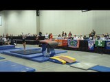 Leanne Wong - Vault 2 - 2017 Women's Junior Olympic Championships