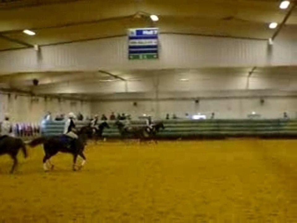 Salon horseball3