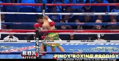 Brian Viloria vs Jose Alfredo Zuniga _SOLID PUNCHES LANDED-nPjisa4wk_8