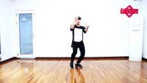 방탄소년단 DNA 안무거울모드 BTS DNA QUICK DANCE TUTORIAL MIRRORED