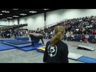 Anastasia Webb - Vault 1 - 2017 Women's Junior Olympic Championships