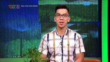Bạn của Nhà nông ngày 29/09/2017: Đầu tư công nghệ cao để nhân giống hoa; Chăm sóc bò thịt giai đoạn chuyển mùa; trồng na VietGAP