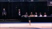 Brandon Krzynefski - Tumbling Pass 1 - 2017 USA Gymnastics Championships