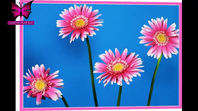 اجمل رسائل تهاني العيد - مسجات تهنئة عيد الفطر 2016