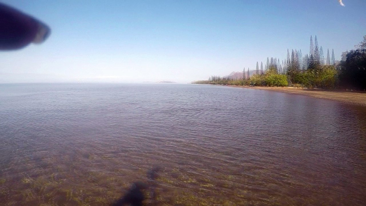 test fusil pneumatique salvimar