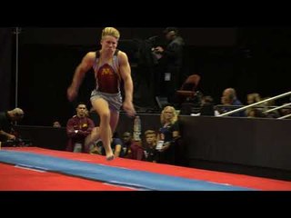 Shane Wiskus - Vault - 2017 P&G Championships - Senior Men - Day 2