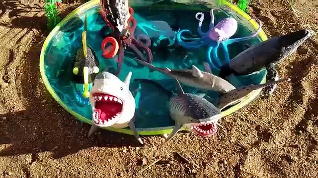 Kids Children Toddler Video Shark Toys Learn Learning Names of Sea Animals Slide Mini Pool Lagoon