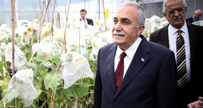 Fakıbaba, Şehir Efsanesini Bitirdi: İsrail'e Domates Tohumu Satıyoruz