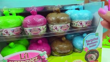 Full Box Lil Woodzeez Fuzzy Bobblehead Collection Surprise Blind Bag Acorns