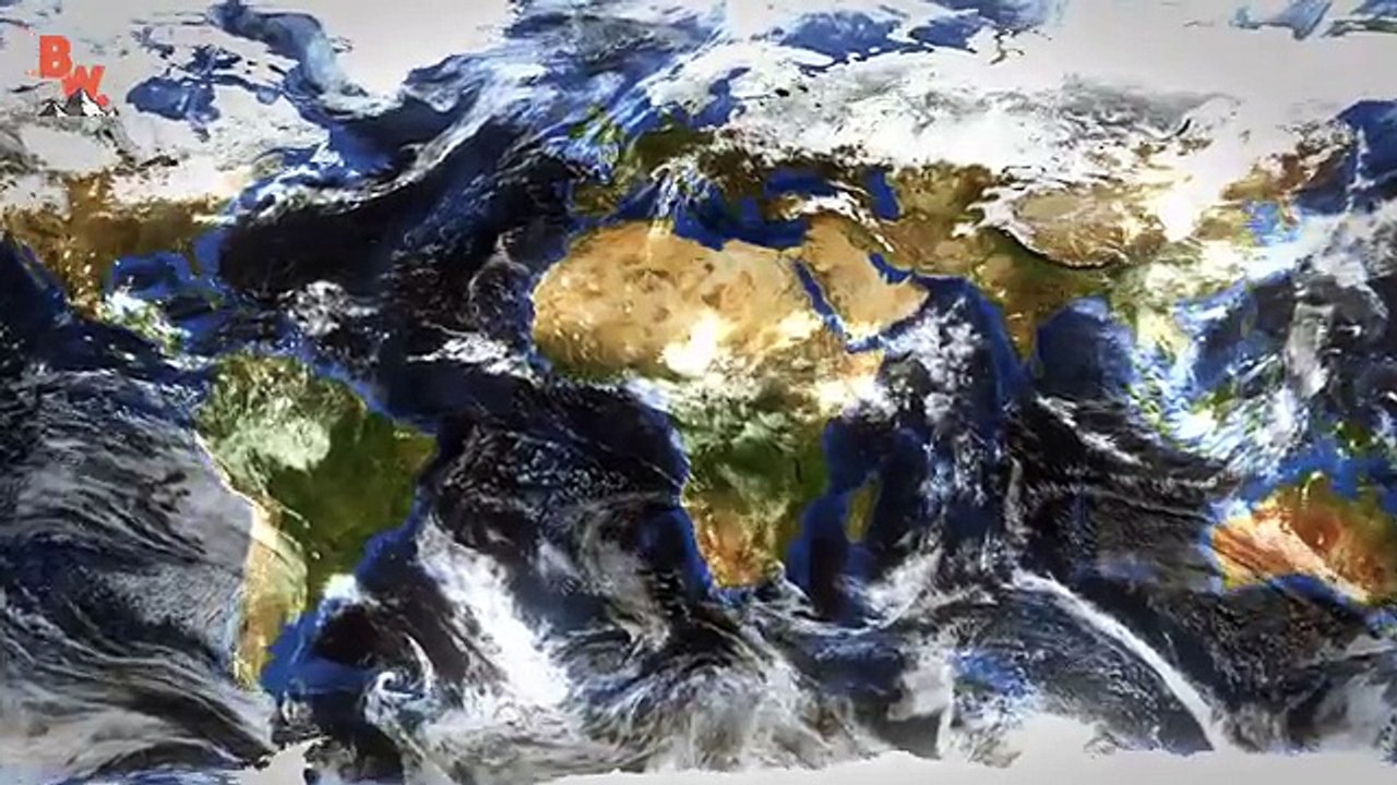 Elusive Lagoon Mouse