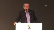 Cumhurbaşkanı Erdoğan: 