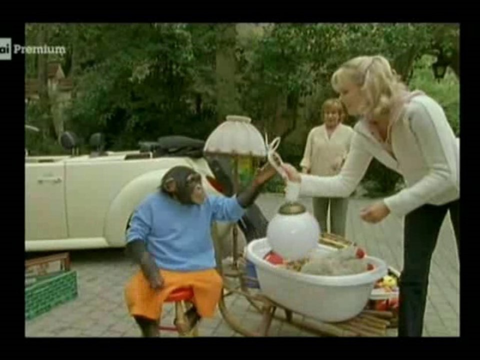 Il nostro amico Charly 11x12 - Charly e il libro azzurro