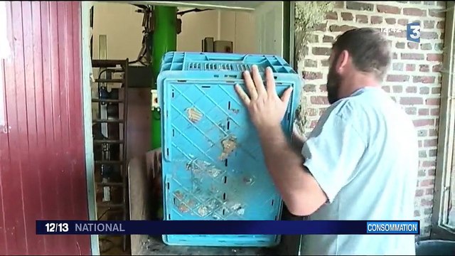 Ardennes : le succès d'un pressoir ouvert aux particuliers