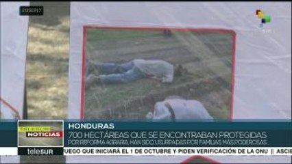 Honduras: denuncian persecución contra campesinos en el Bajo Aguán