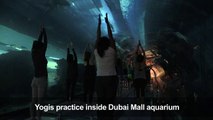 Yoga class convenes inside Dubai Mall aquarium