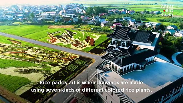 Insolite : ces rizières colorées ont été inventées par un petit village japonais pour relancer le tourisme
