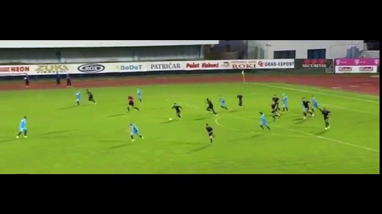arm-gol1