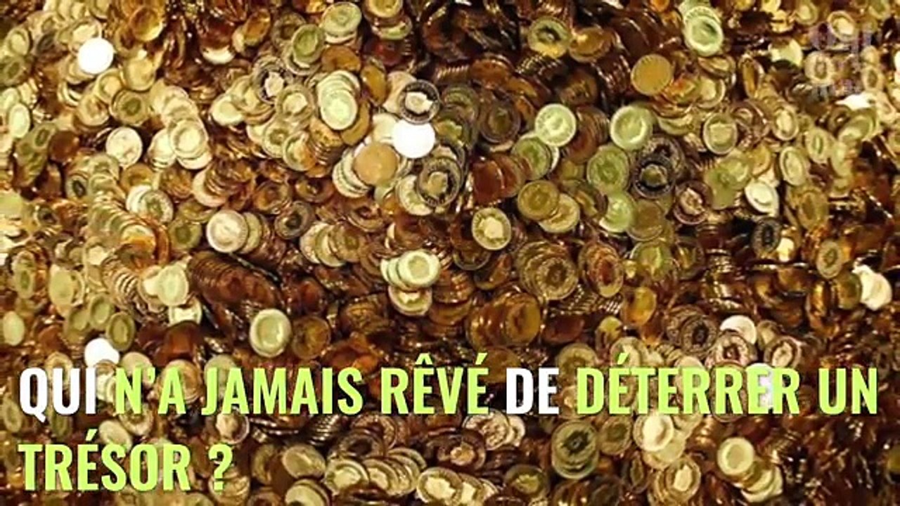 Tr_sor_-_alors_qu_ils_prom_nent_leur_chien_ils_tom