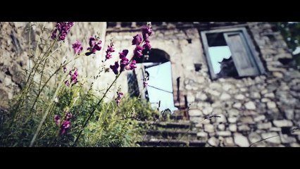 Nicolae Guta - Lacrimi de gheata - nou 2017