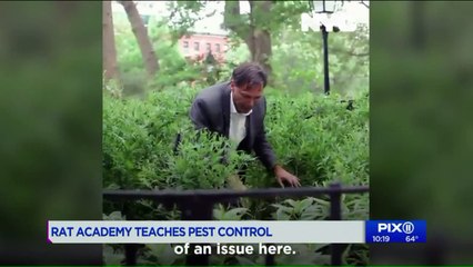 New York Mayor de Blasio Announces $750K Plan to Fight City`s Rat Problem