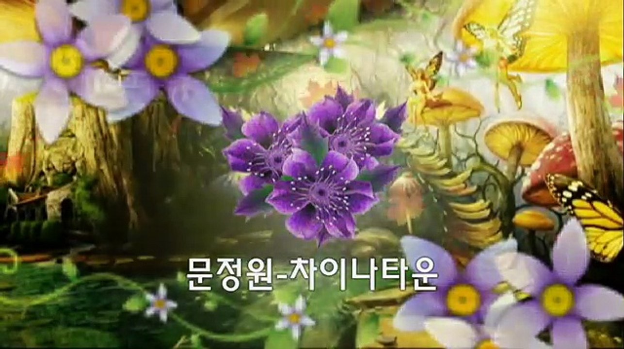 2017년 신곡 트로트 노래모음(2) 10곡