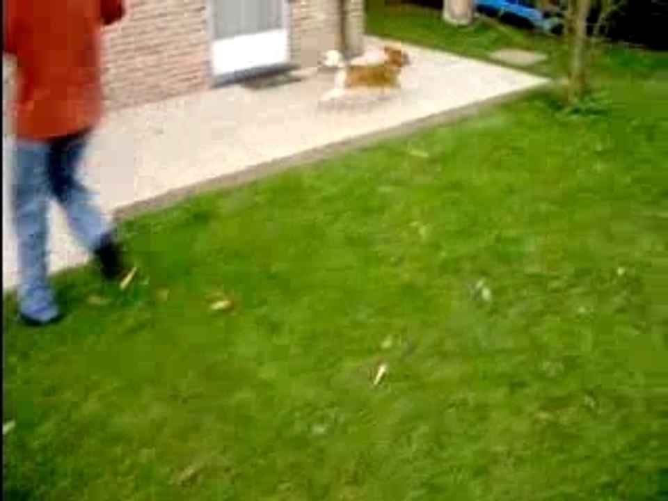 quelle vitesse