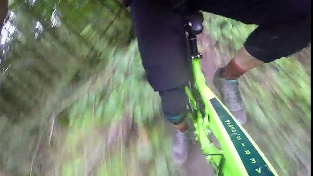 Bird Aeris 145 First Ride Review - UK Direct-Sell Punches Above Its Weight