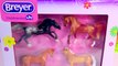 Breyer Horse new Stablemates Horse Crazy Gift Set Horses Collection Unboxing Video Honeyheartsc
