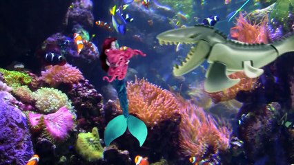 ELSA vs Blaziken Challenge Who Wins? Pokémon Toy Battles