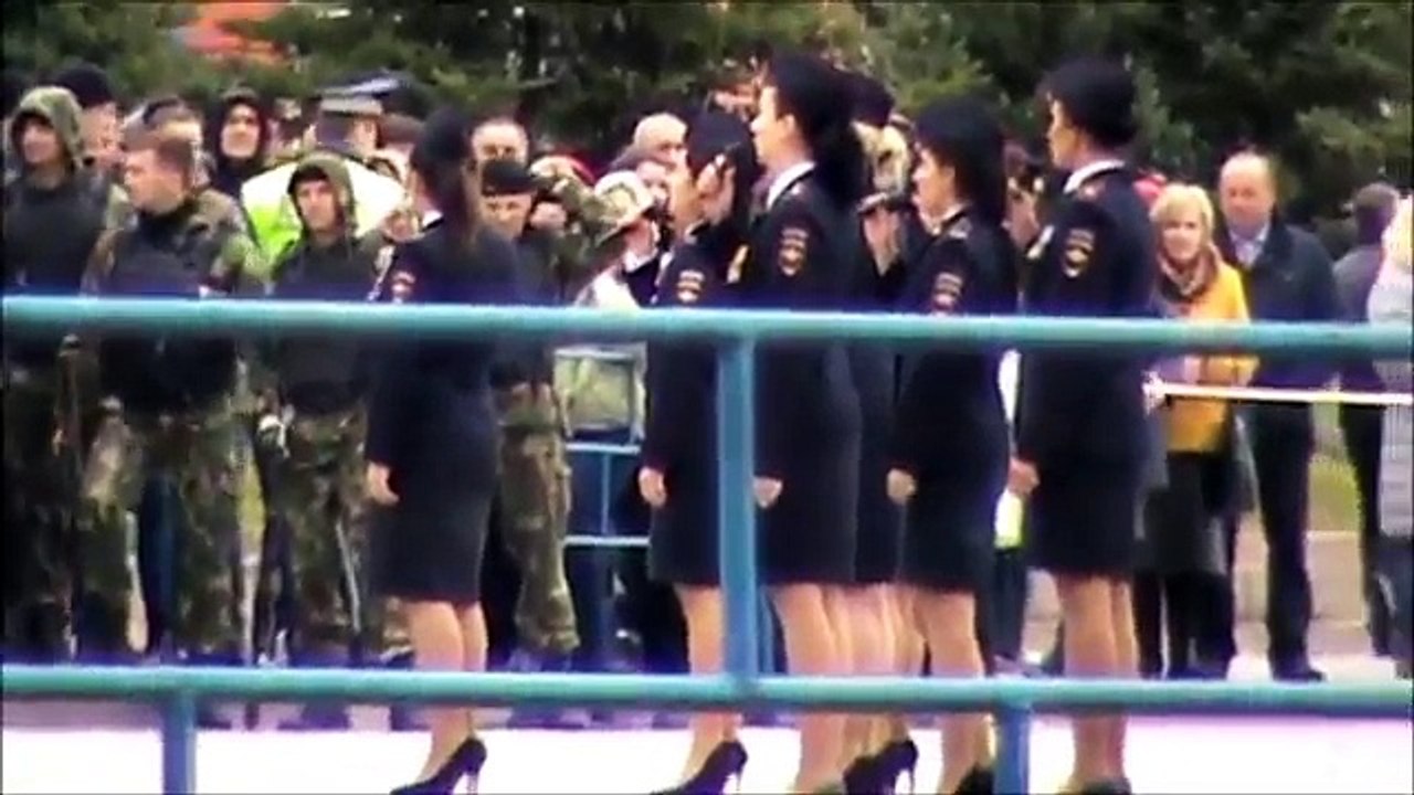 БЛОГ КОШКИ