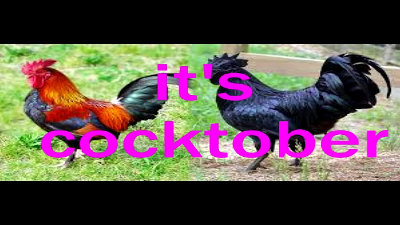Cocktobah