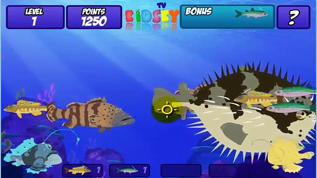 Wild Kratts Frogfish Feast (Pbs Kids Games) Gameplay videos - Animated Cartoon 2017