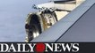 Engine destroyed on Air France flight from Paris to LA