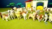 Toy Pet Animals 3D Puzzles Collection Dogs Cats Horse │Animal Toys For Kids
