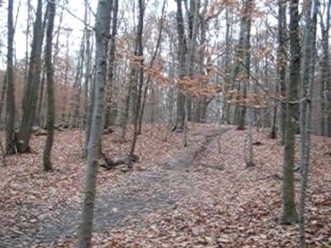 Chute a velo violente