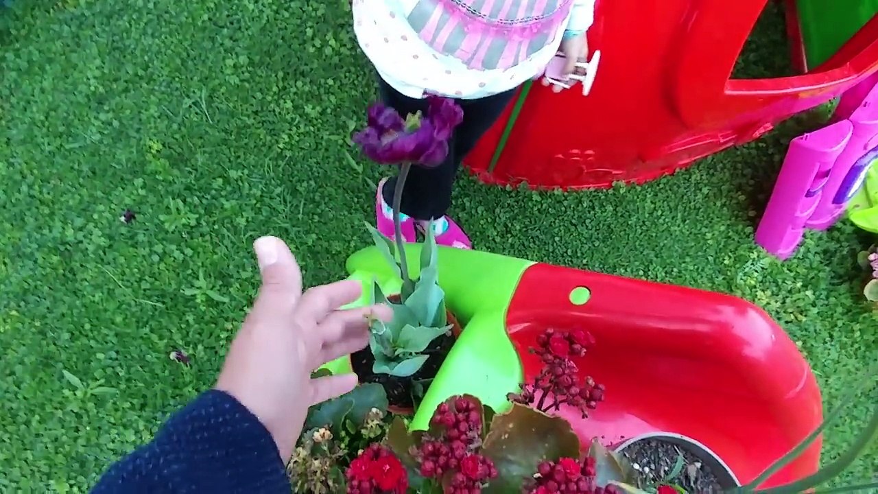 ORBEZDE  ÇİÇEK, 90.000 su maymunu içine çiçek soğanları koyduk acaba yetişecekmi ? Çocuk videosu