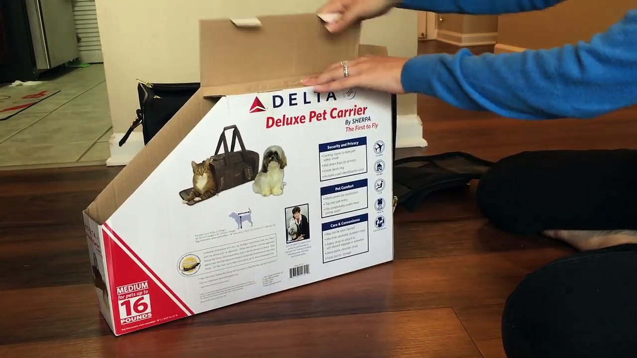Sherpa vs SturdiBag vs AmazonBasics Pet Carrier Comparison Review