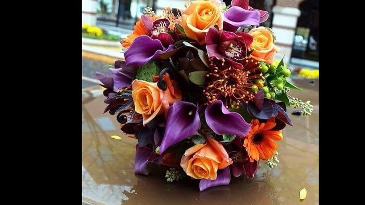 cheb Didine et cheba Yamina ( jibi khebar )  ,  الشاب ديدين و الشابة يمينة ( جيبي خبار )