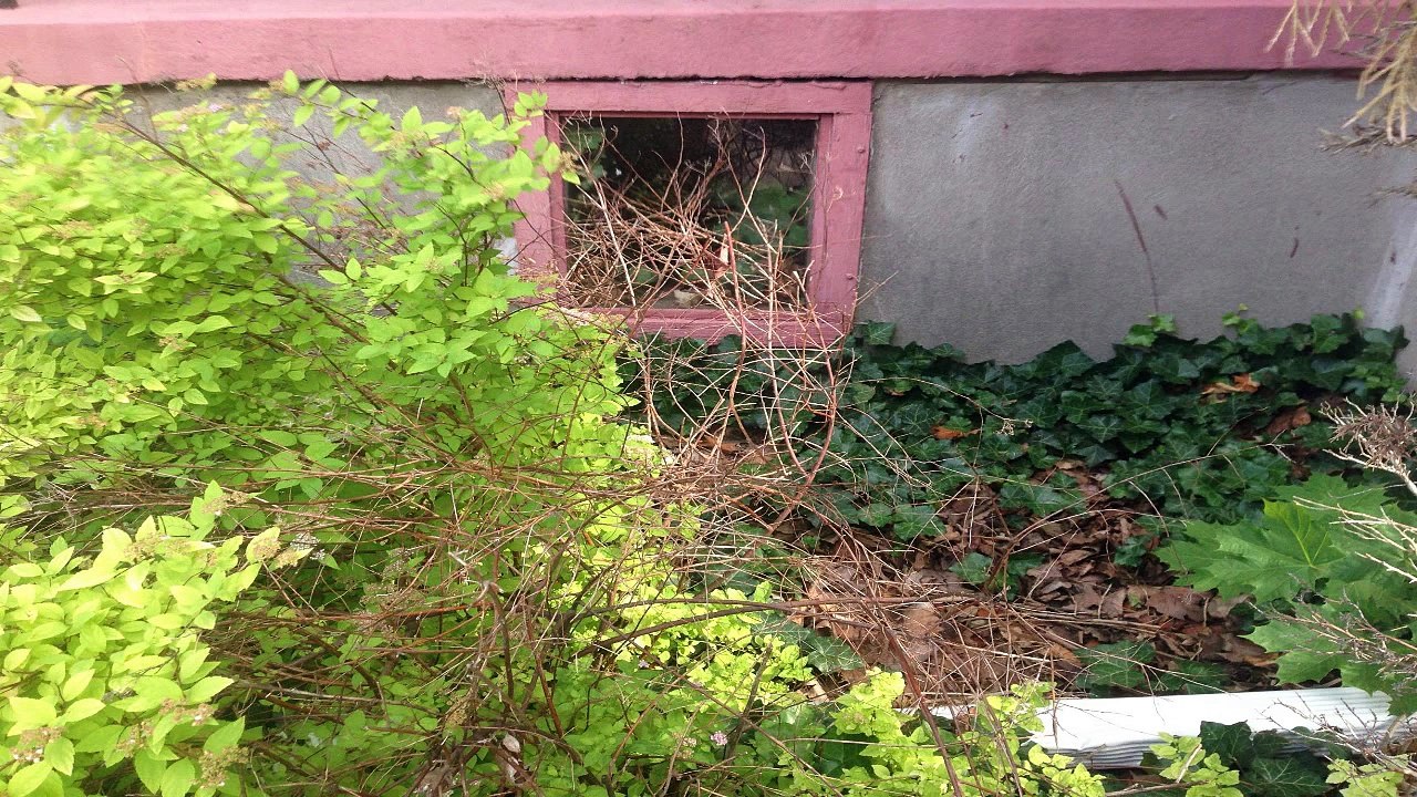 8 Really Creepy Secret Rooms Found in Houses