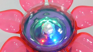 Orbeez Flower Magic light Show globe Machine Magic Growing Water Ball Toys 개구리알 매직쇼 플라워 장난감 만들기