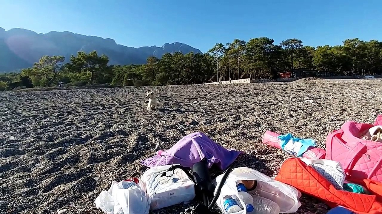 Elifi kuma gömdük , Eğlenceli çocuk videosu