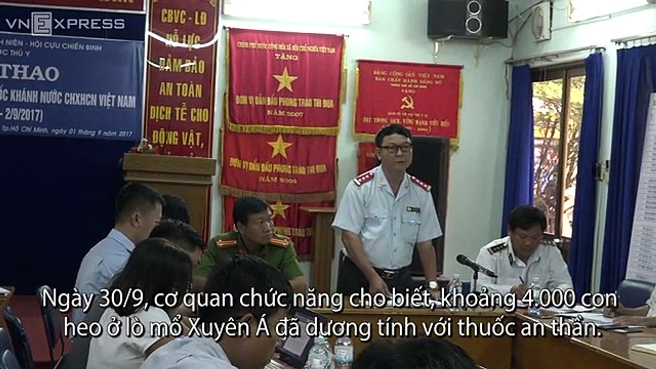 Hàng loạt cán bộ bị truy trách nhiệm vì 5.000 con heo tiêm thuốc an thần