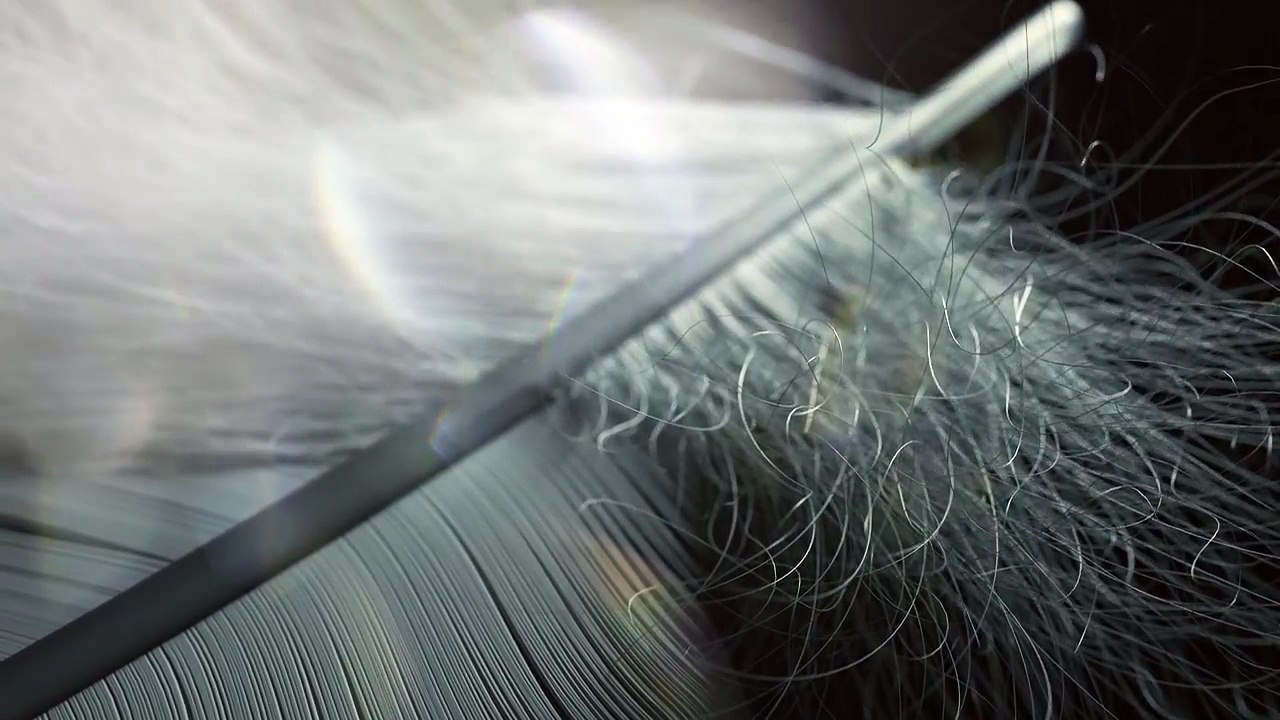 Grey - Wings Clipped (ft. Avril Lavigne & Anthony Green) (Official Audio)