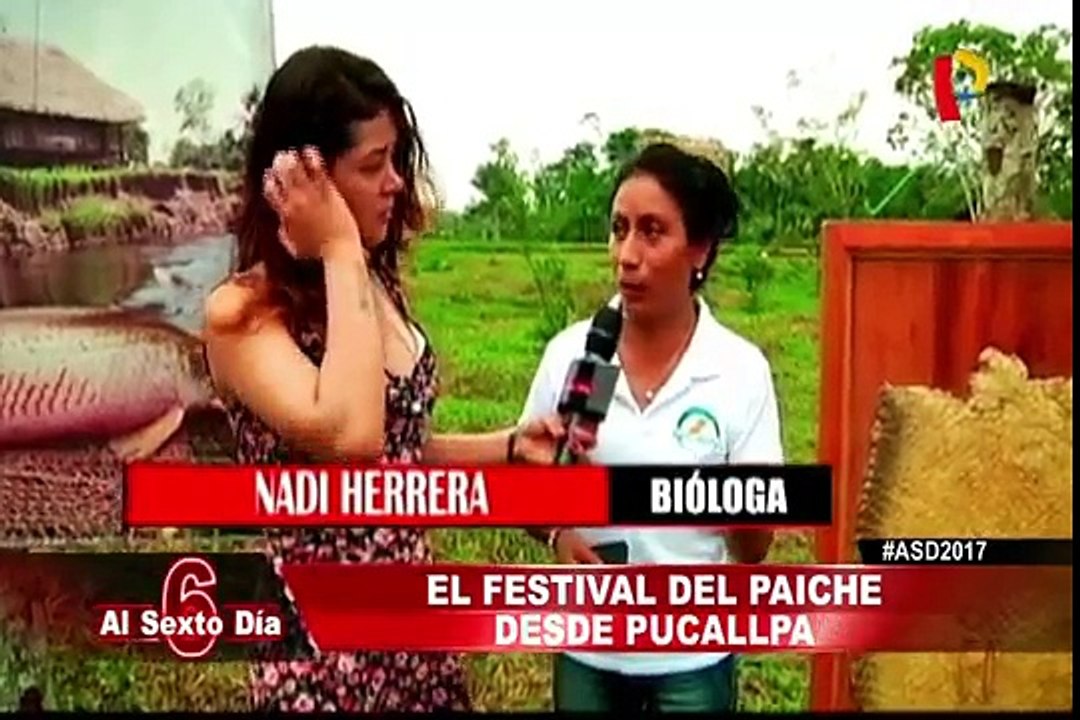 Conoce un poco más del festival del paiche en Pucallpa