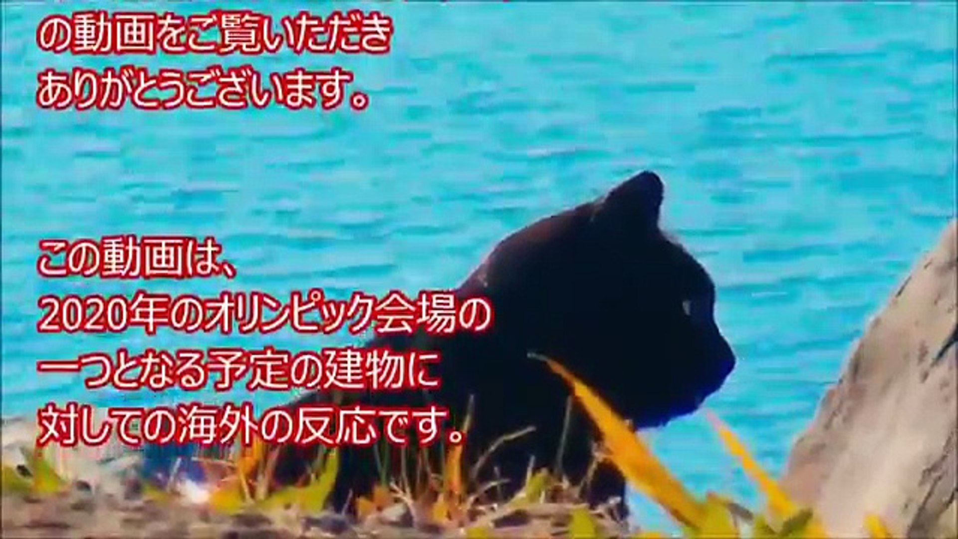 海外の反応 東京オリンピックでも使われる 半世紀前の日本の競技場に外国人驚愕 Video Dailymotion