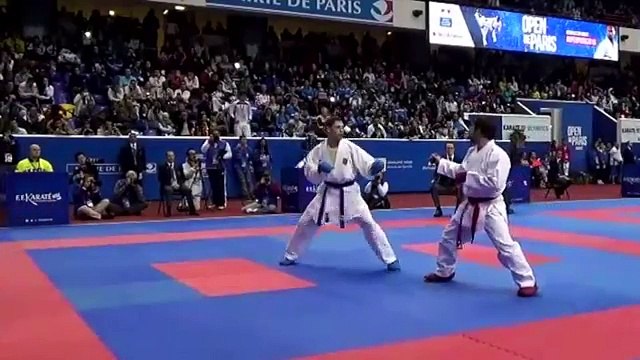 AGHAYEV RAFAEL (AZE) Open de Paris 2016 KARATE - KUMITE Peleas