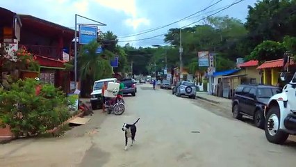 The Perfect Upperbody Workout ♥ Arm Flab Toning 101