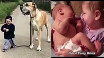 Cutest & Funniest Babies Video Compilation   Funny Crying & Laughing Baby part 61
